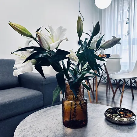 Apartment Rydygiera14 Wroclaw